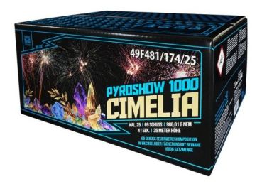 Profi-Feuerwerk,Batteriefeuerwerk, Sivesterfeuerwerk